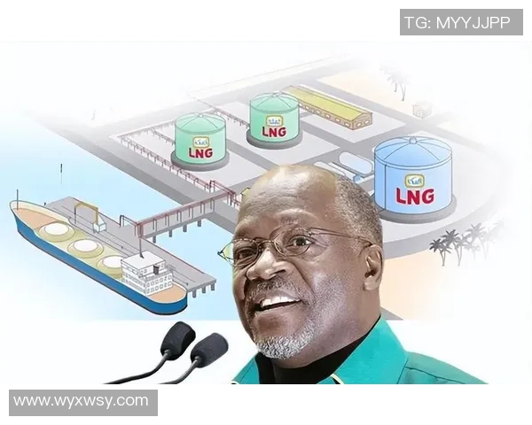 独家深度解析LNG市场意识对比及其未来发展趋势