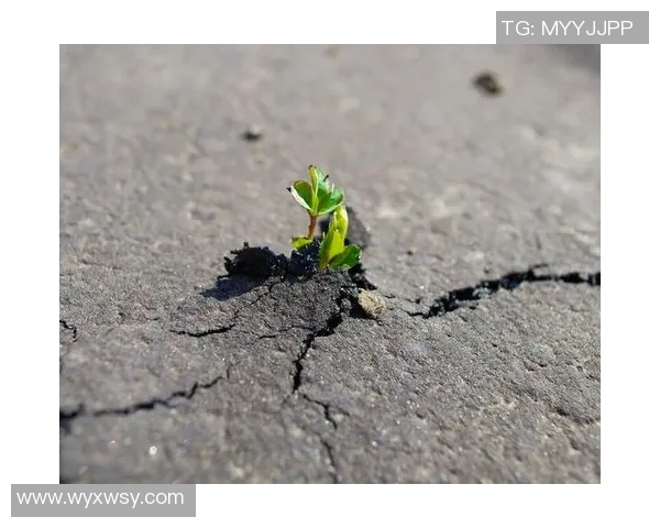 于德豪的奋斗历程与人生哲学探索如何在逆境中绽放光彩 于德豪的奋斗历程与人生哲学探索如何在逆境中绽放光彩